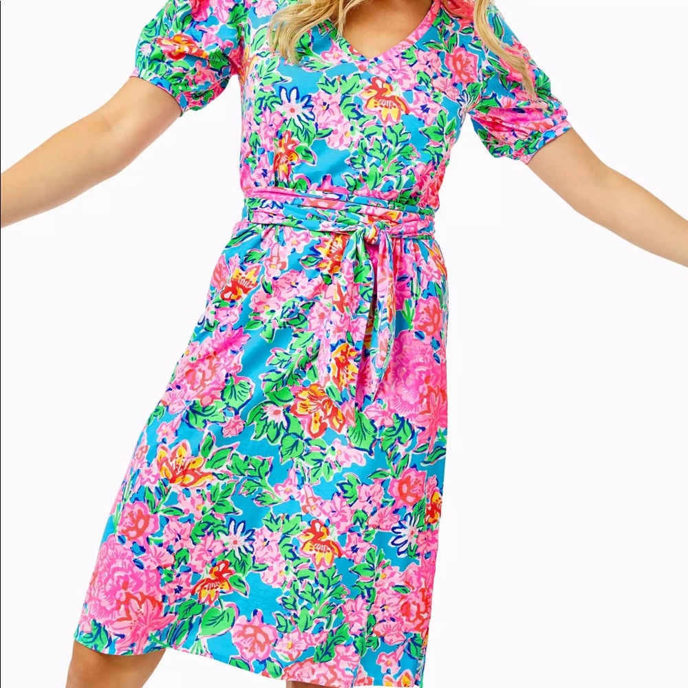 Lilly Pulitzer Isolde Dress
